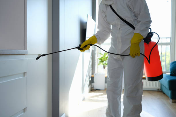 Crawl Space Mold Removal in Georgetown, TX