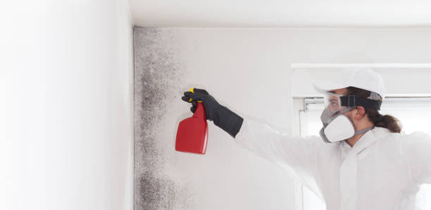 Georgetown, TX Mold Removal Company
