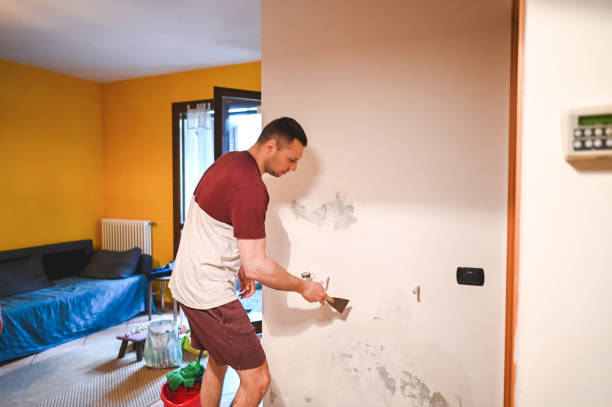 Best Crawl Space Mold Removal  in Georgetown, TX