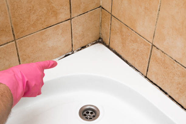 Best Mold Testing  in Georgetown, TX